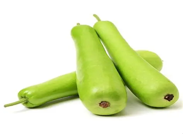 Bottle Gourd (Loki)